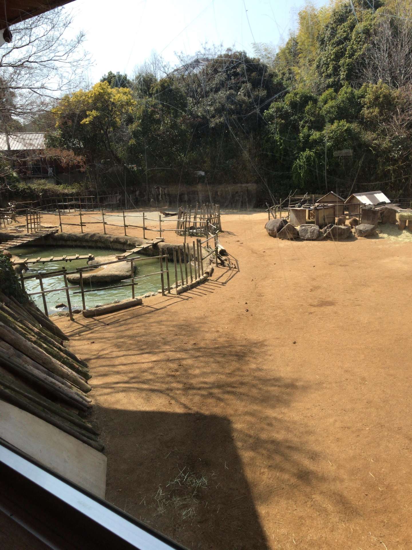 徳島動物園へ行きました。
