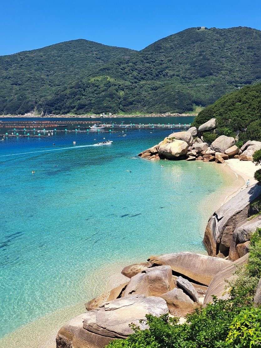夏~🌻