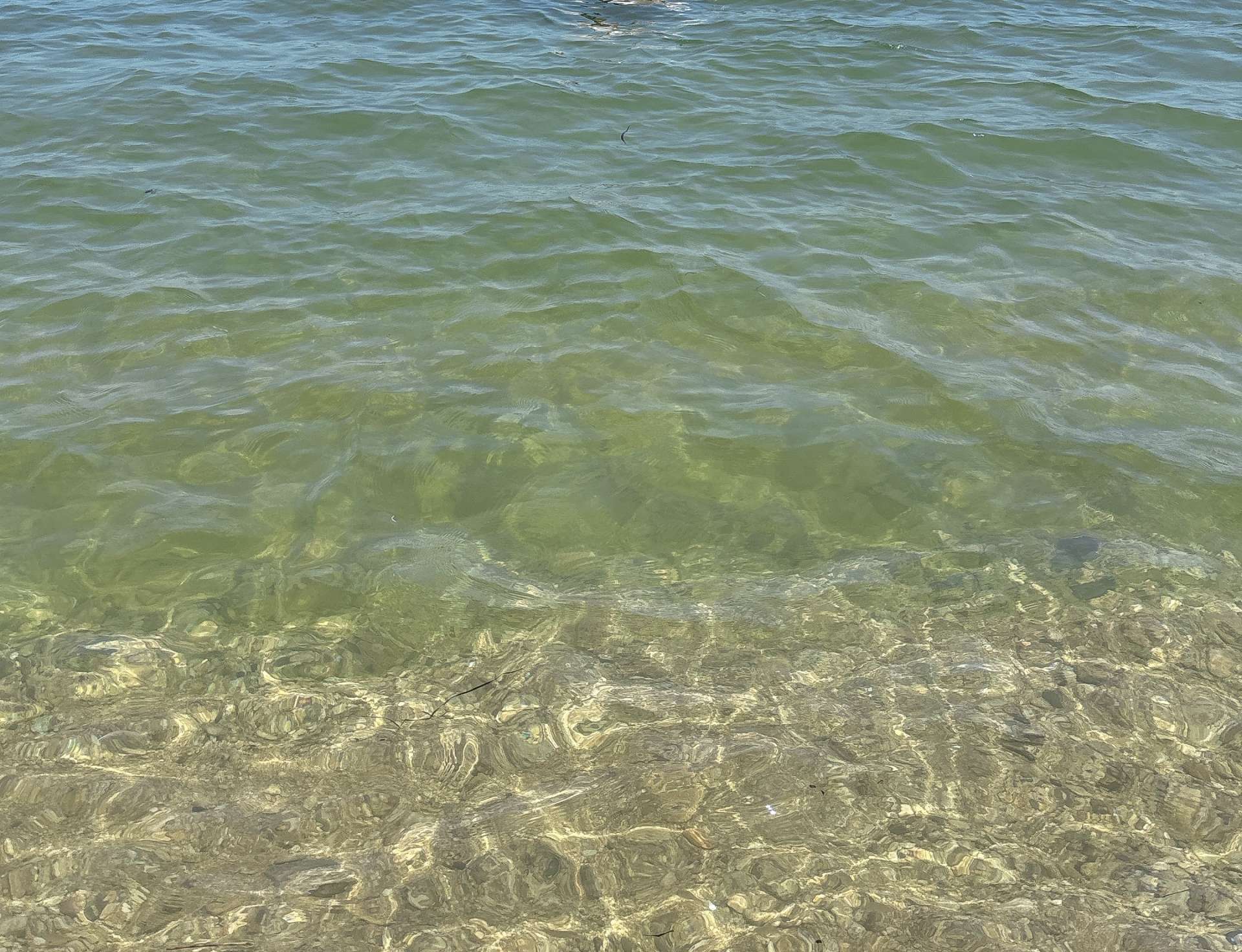 5年ぶりの海♪