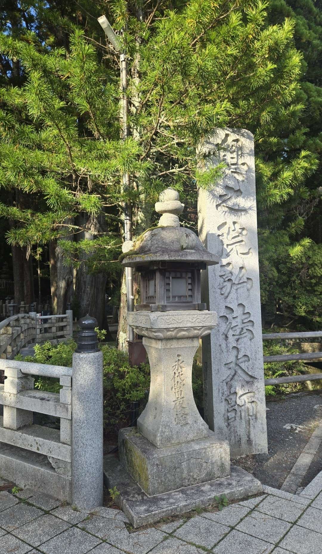 夏の想い出。和歌山へ