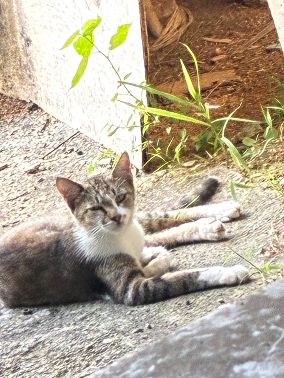 君に夢中♪